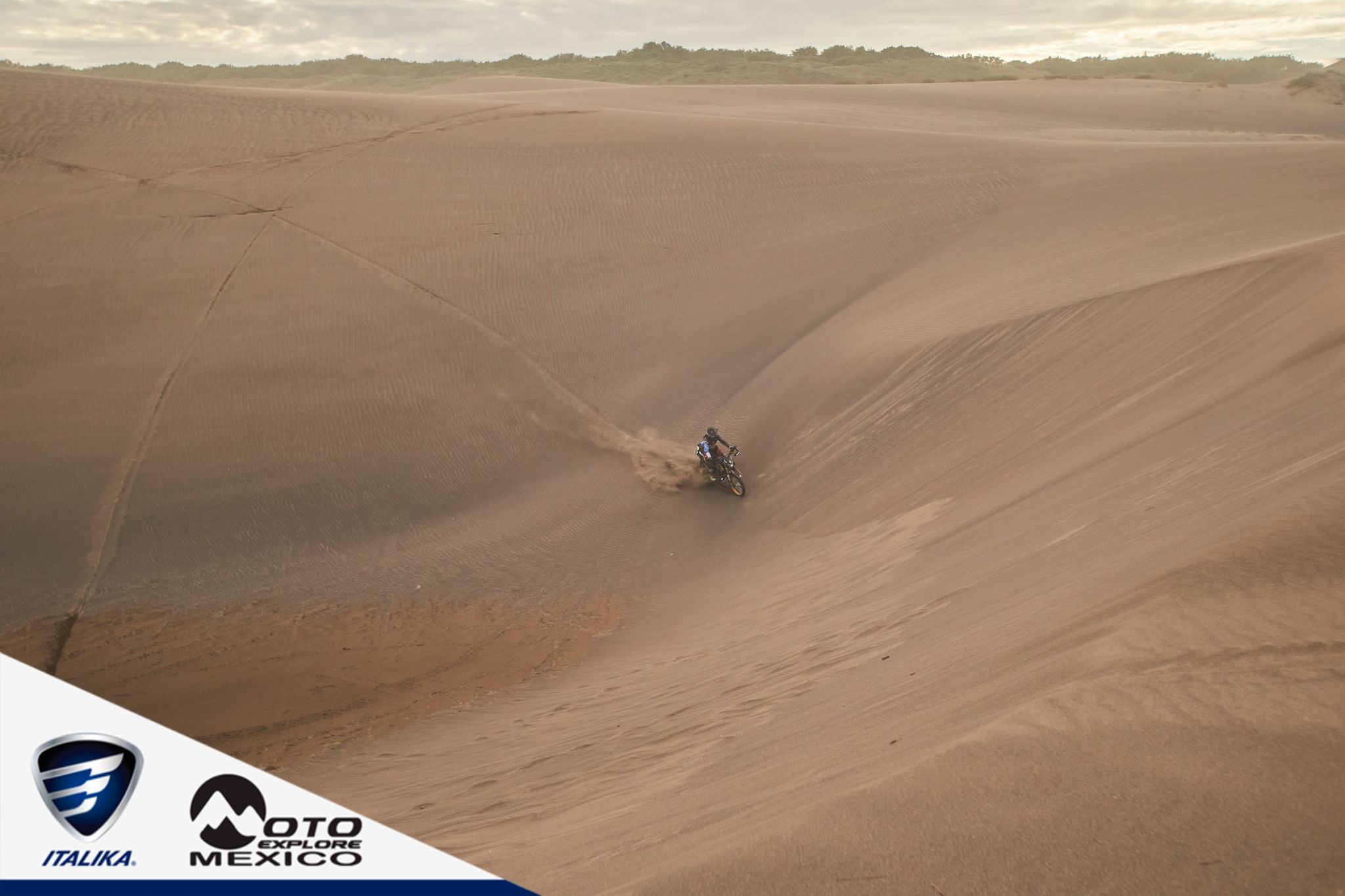 ITALIKA CHACHALACAS D2 434